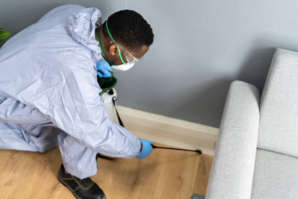 Best Real Estate Pest Inspections  in Barrington, NJ